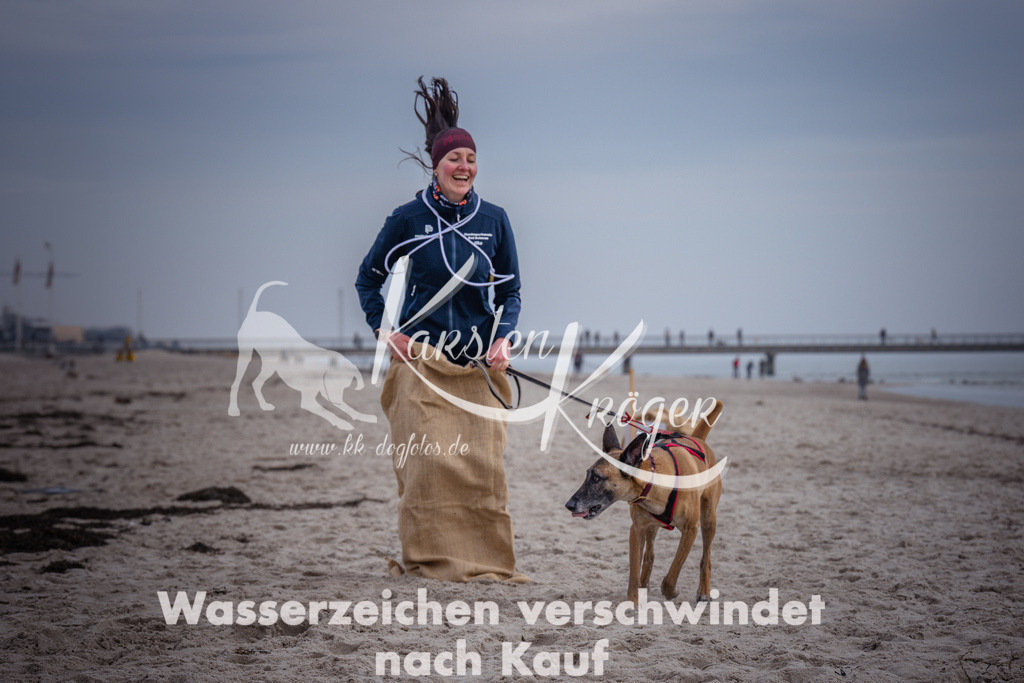 1143_ZZ90441 | kk-dogfotos