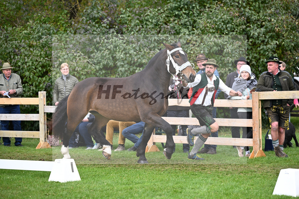 Kat-Nr. 61 Thea v. Gorbatschow_Egger_41251333 | hf-fotografie - Realizzato con Pictrs.com