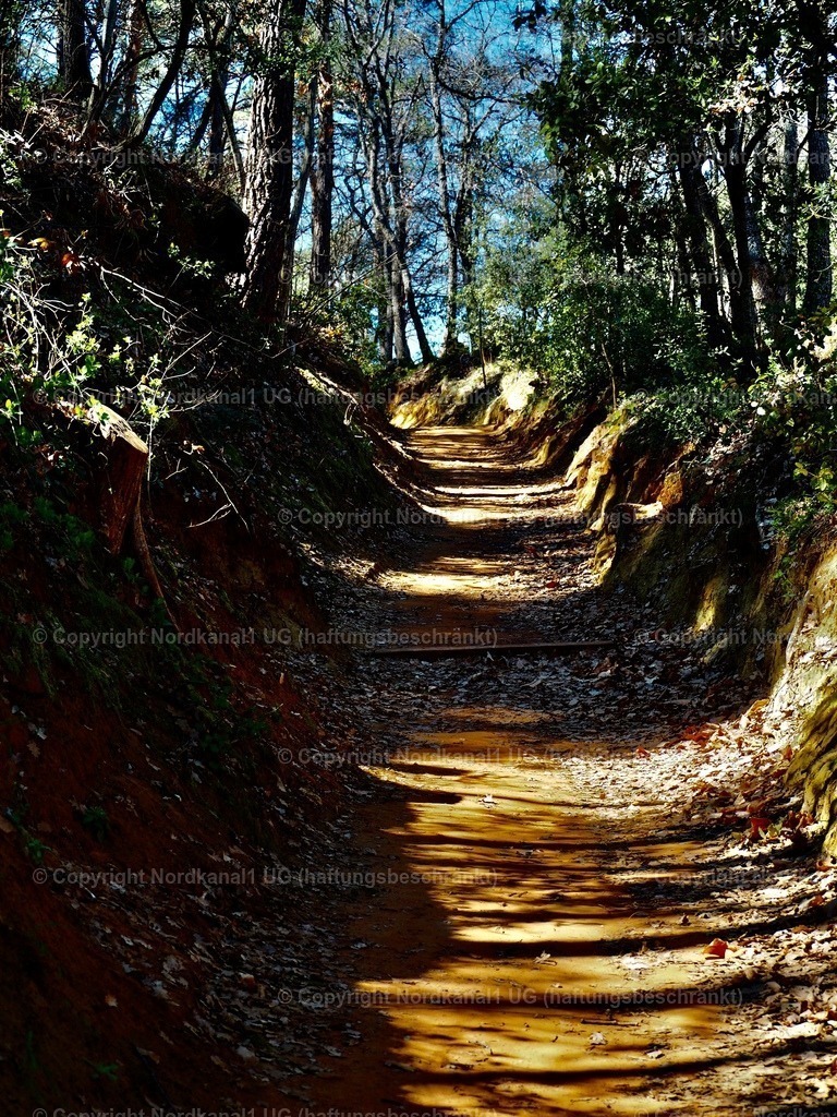 IMG_2962 | OLYMPUS DIGITAL CAMERA          - Realisiert mit Pictrs.com