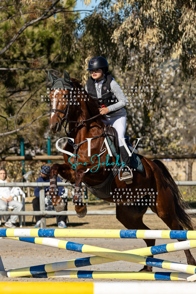 IMG_8410 | s-jay-photography - Realisiert mit Pictrs.com