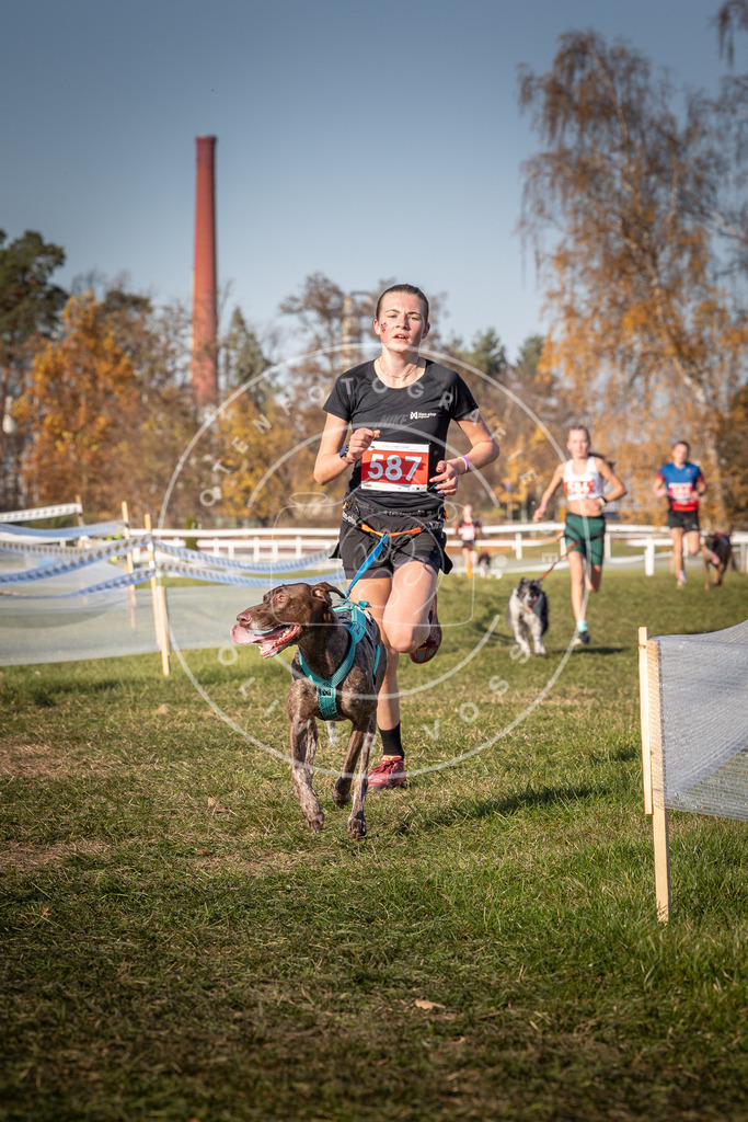 CaniXpix_0L8A8254 | Hundefotografie, Tierfotograf, Pfotenfotografie, Fotoshooting Hund, Hunde Portrait, Hundesport, Hundeportraits, Heideshooting, Hunde, Sportfotograf, Hundefotograf, Turnierhundsport, THS,  - Realisiert mit Pictrs.com