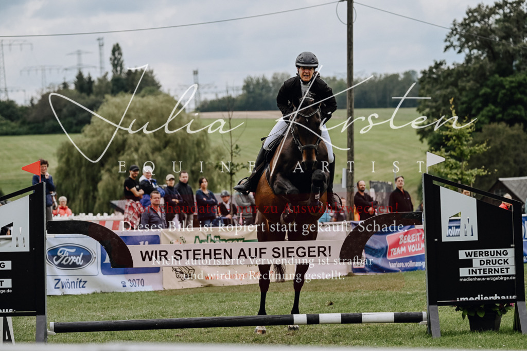 DSC_7748 | Pferde- und Turnierfotografie in Westsachsen. Pferdeportraits, Auftragszeichnungen und intuitive Kunst.
