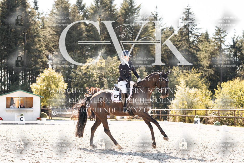 CK905605 | Turnierfotografie Pferdefotografie Trier Rheinland-Pfalz Pferdesport Reitsport Tierfotografie Sportfotografie Pferdevideo Pferdevideografie Equestrianvideography equestrianphotography  - Realisiert mit Pictrs.com