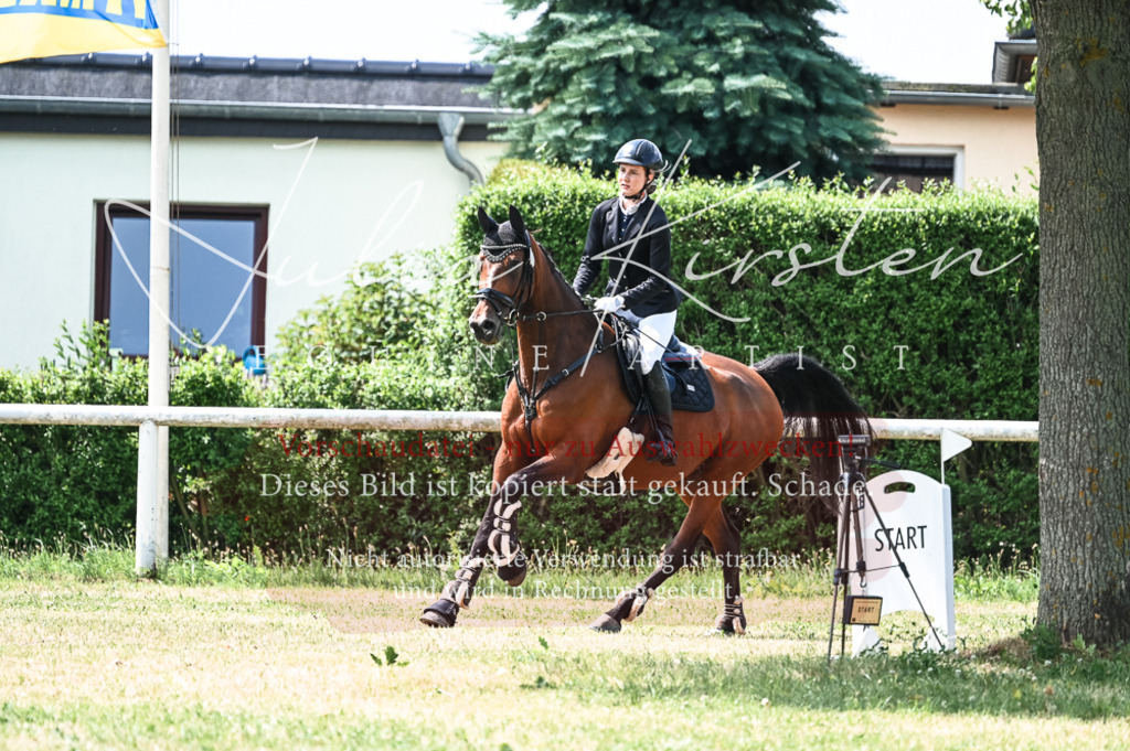 DSC_9423 | Pferde- und Turnierfotografie in Westsachsen. Pferdeportraits, Auftragszeichnungen und intuitive Kunst.