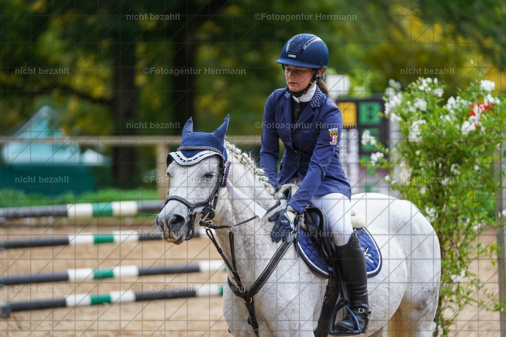 20221009-FAH08323 | Diessen am Ammersee, 2022, Dressur- und Springturnier, Reitsportbilder, Turnierfotografen Bayern, Pferdefotografen, Fotoagentur Herrmann, Turnierbilder