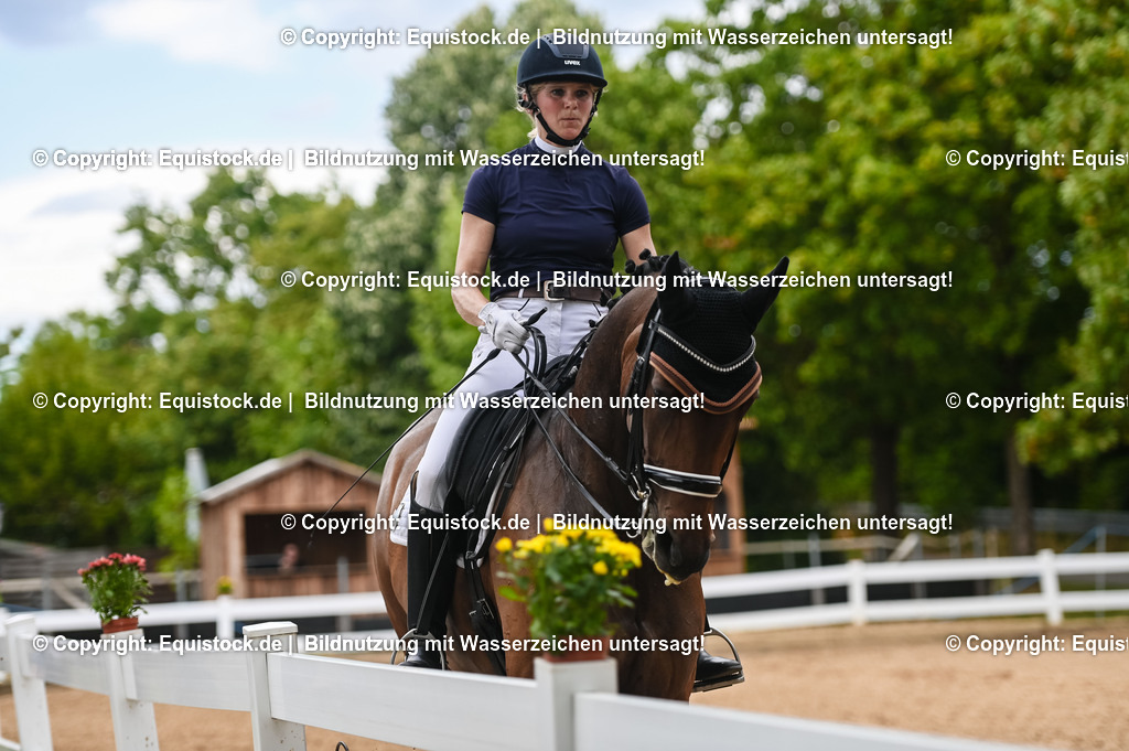 20230716_01_Dressurprüfung Kl.M_0434 | equistock