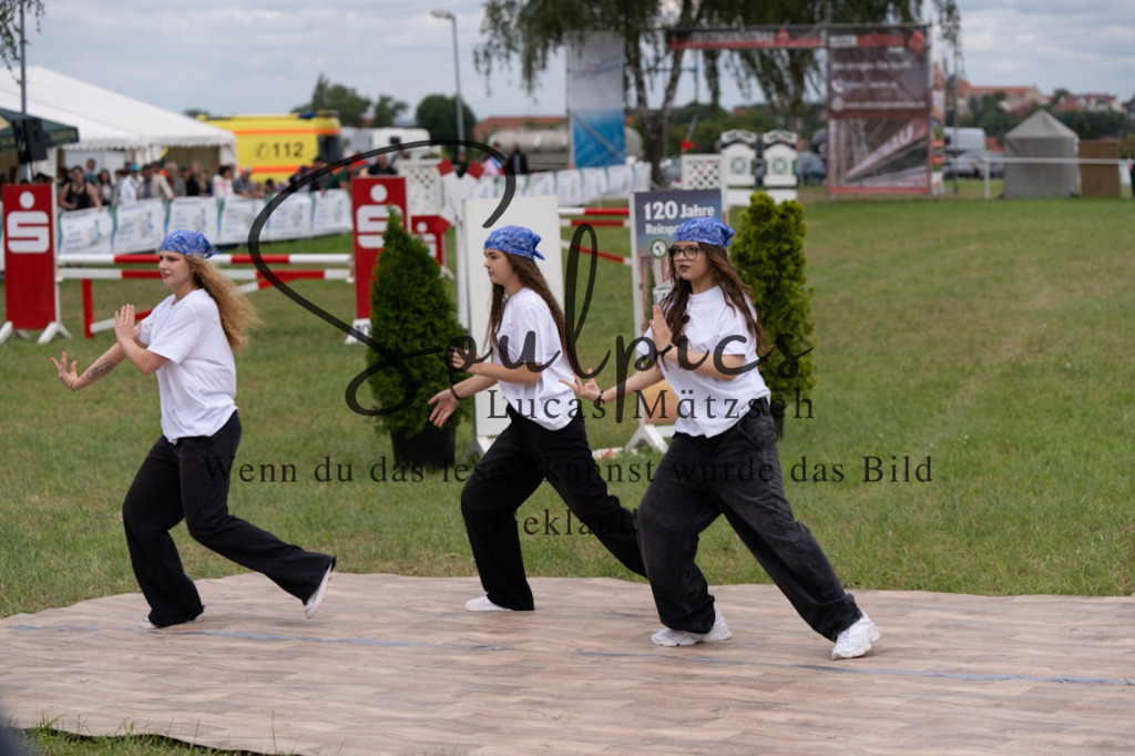 A7V05798 | Pferdefotograf