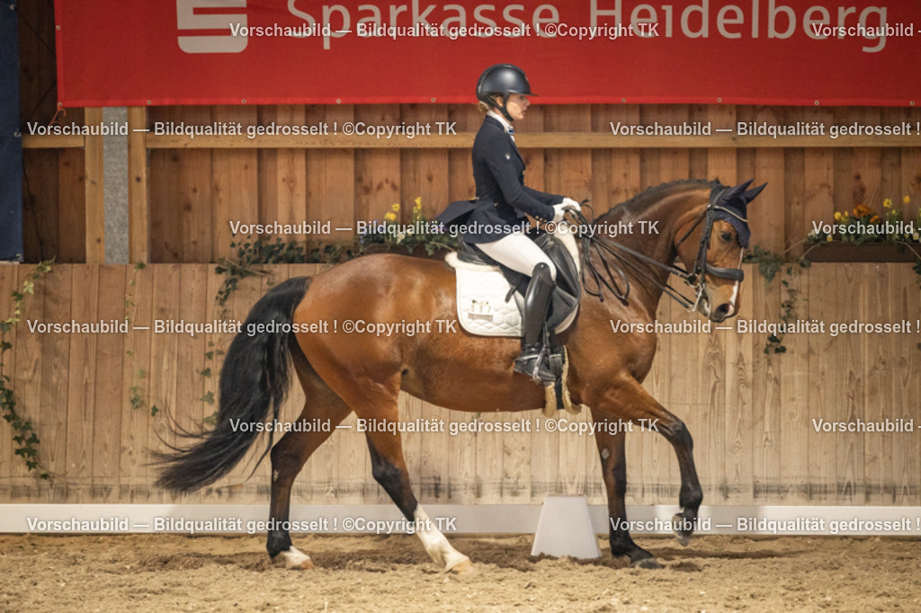 _D5A9800 | Emotionale Pferde- & People-Fotografie rund um Heidelberg, Leimen & Umgebung. Natürliche Fotos von Pferd, Mensch & Familie. Jetzt Termin sichern!