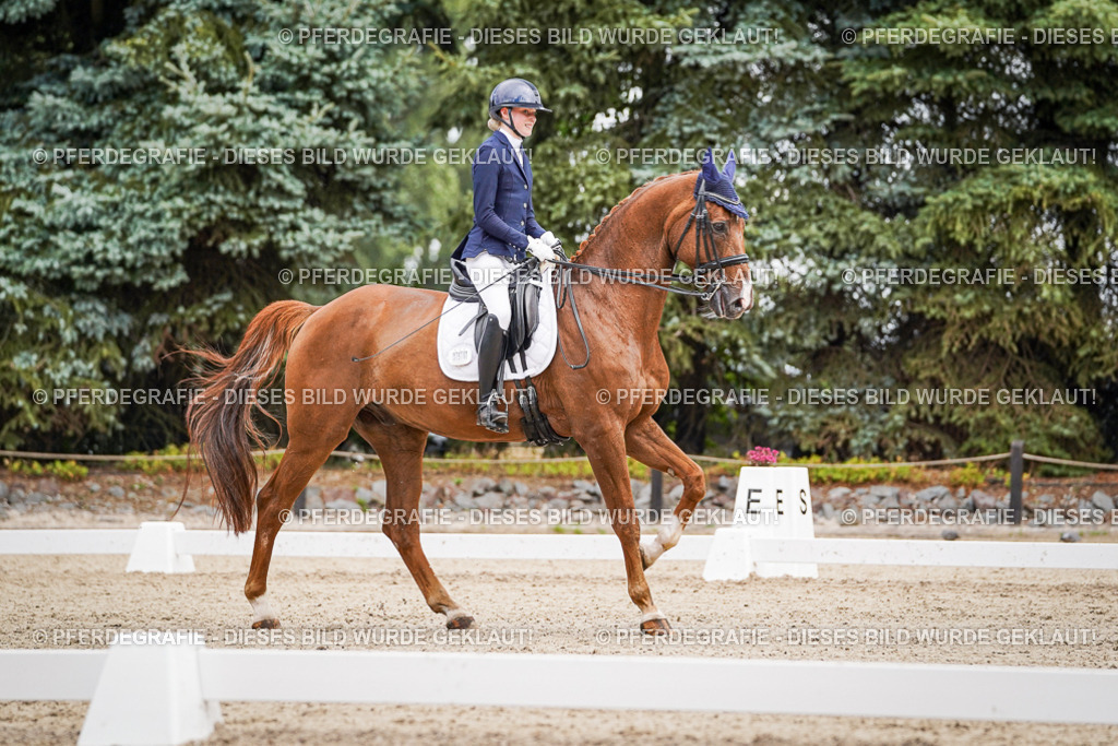 DSC02784 | Pferdegrafie