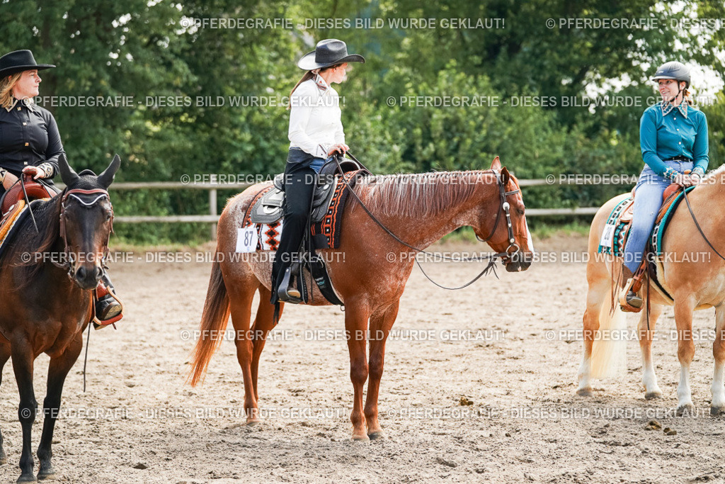 DSC04609 | Pferdegrafie