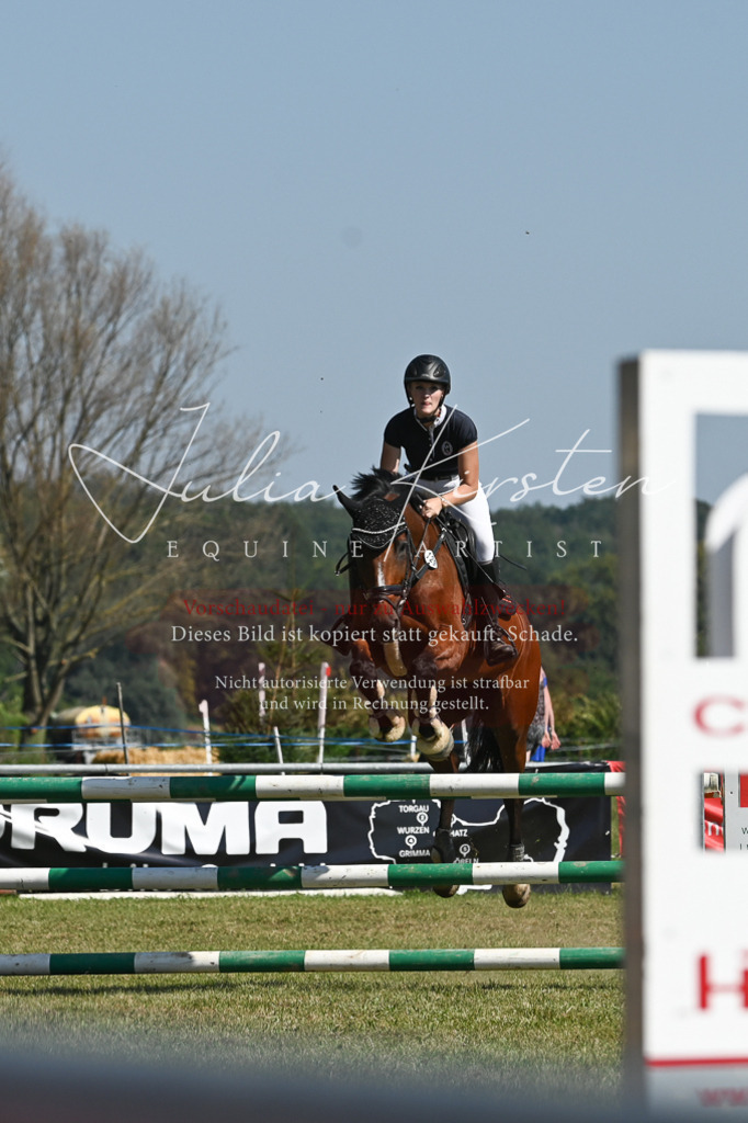 DSC_6424 | Pferde- und Turnierfotografie in Westsachsen. Pferdeportraits, Auftragszeichnungen und intuitive Kunst.