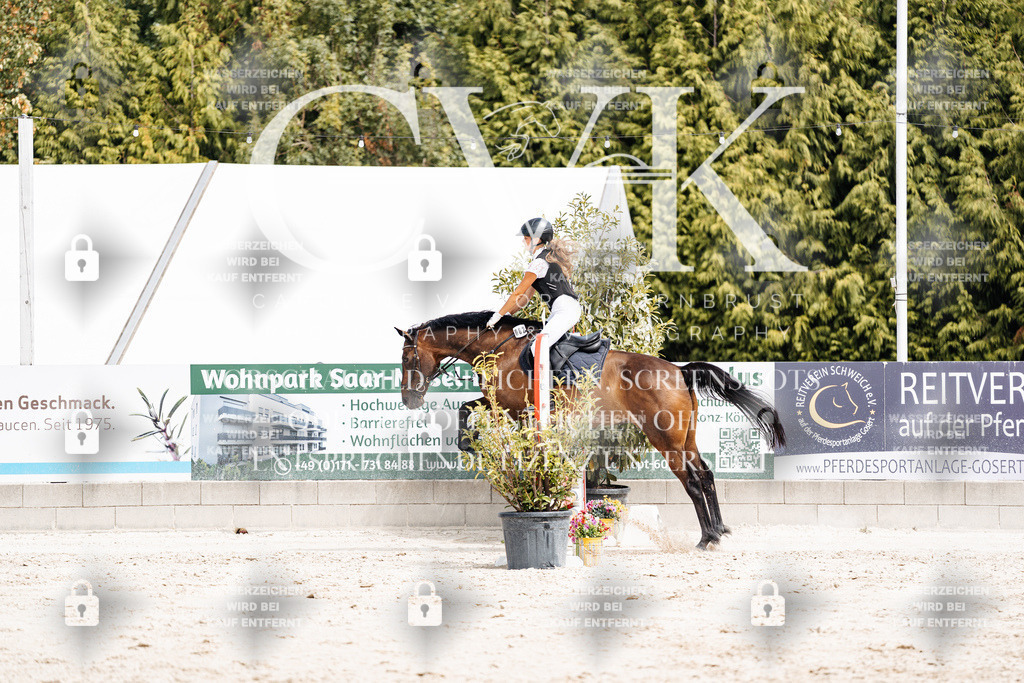 CK906731 | Turnierfotografie Pferdefotografie Trier Rheinland-Pfalz Pferdesport Reitsport Tierfotografie Sportfotografie Pferdevideo Pferdevideografie Equestrianvideography equestrianphotography  - Realisiert mit Pictrs.com