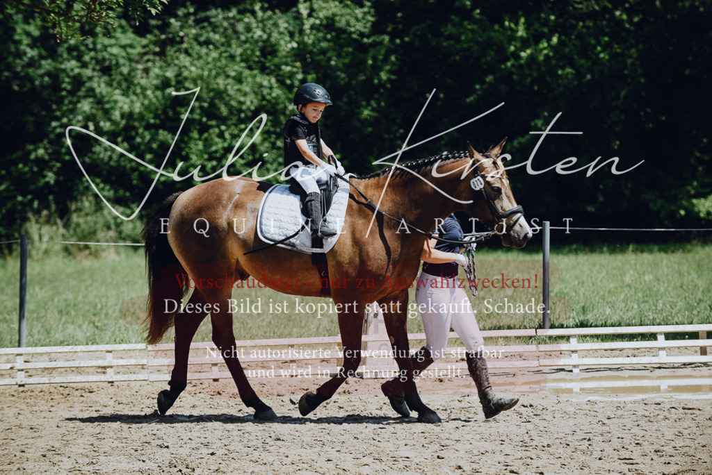 DSC_2595 | Pferde- und Turnierfotografie in Westsachsen. Pferdeportraits, Auftragszeichnungen und intuitive Kunst.