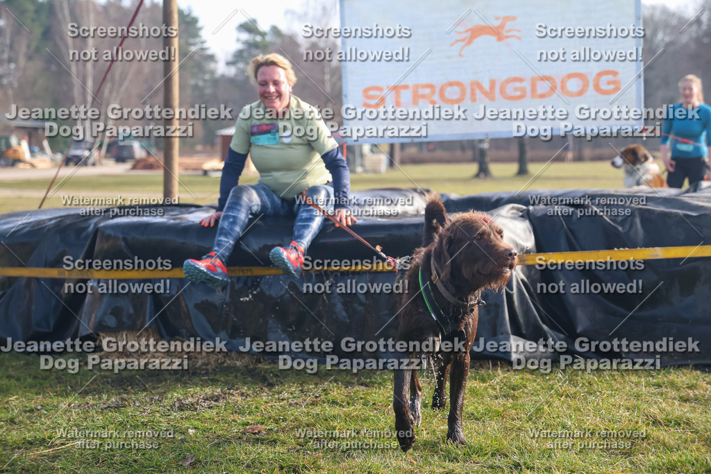 Dog Paparazzi - Strongdog North Mrz26-443 | Dog Paparazzi Jeanette Grottendiek Fotografie & Videografie - Realisiert mit Pictrs.com