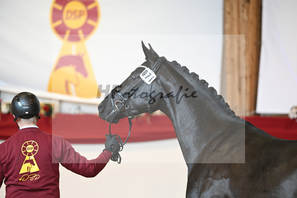 Kat-Nr. 71 Toto jr_Winklmaier_1231488 | hf-fotografie - Realisiert mit Pictrs.com