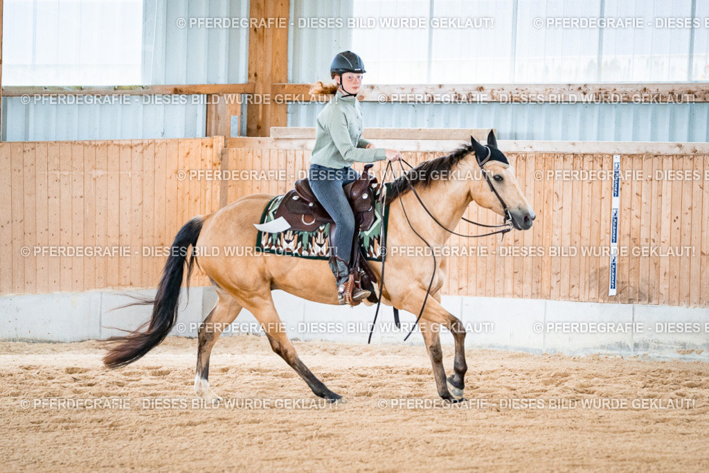 DSC09692 | Pferdegrafie