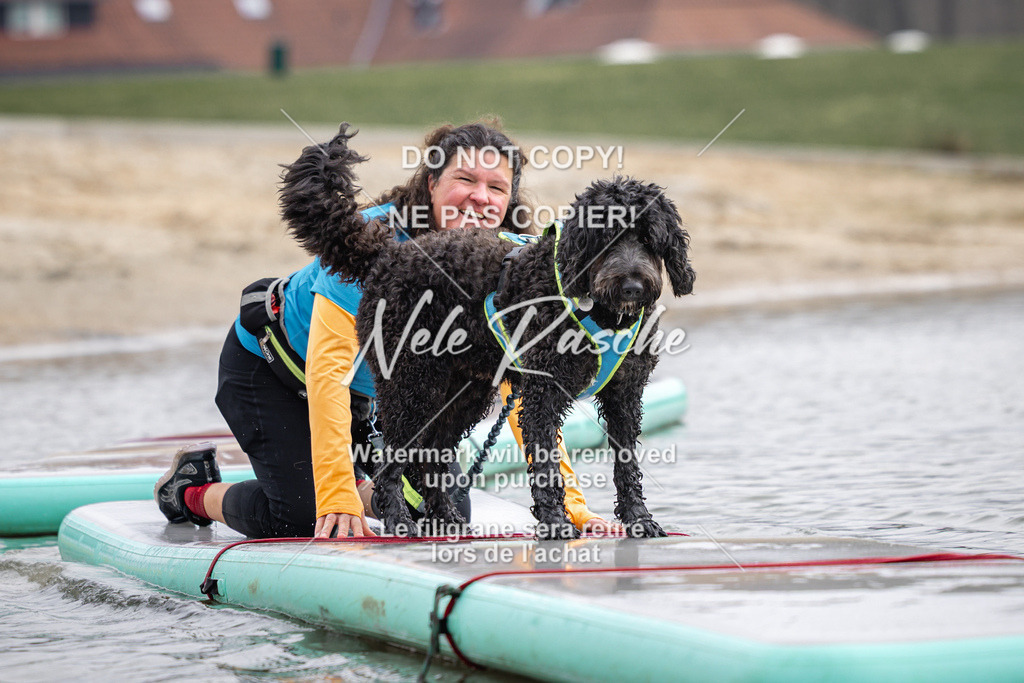 nelerasche_Hulsbeek_Sa1130-1230_593 | nelerasche