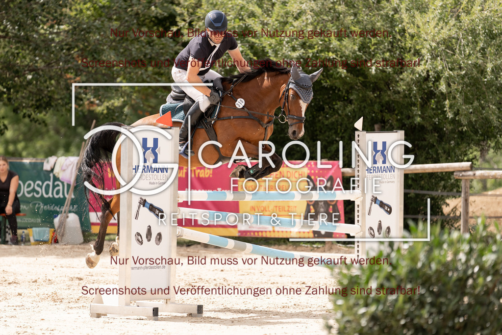 DSC06679 | Springturnier_Teamchallege_Talheim_2026, Christian_Weber, Tassy_de_la_Reselle