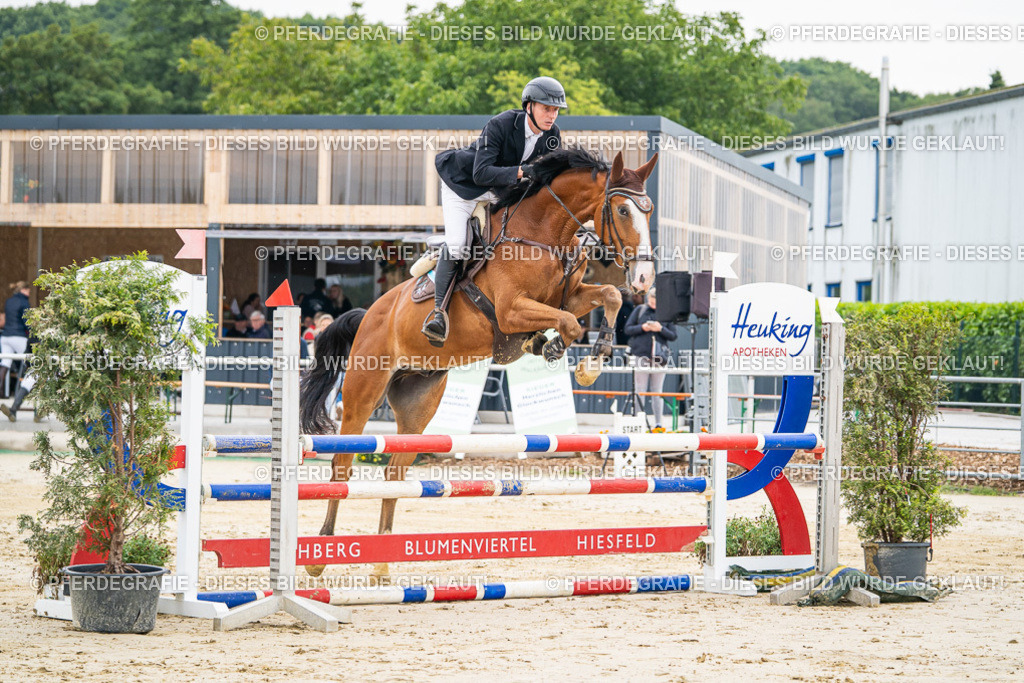 DSC09292 | Pferdegrafie