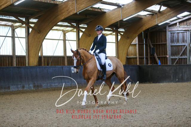 IMG_0178 | Turniersportfotografie; Pferdefotografie; Dressurfotografie
