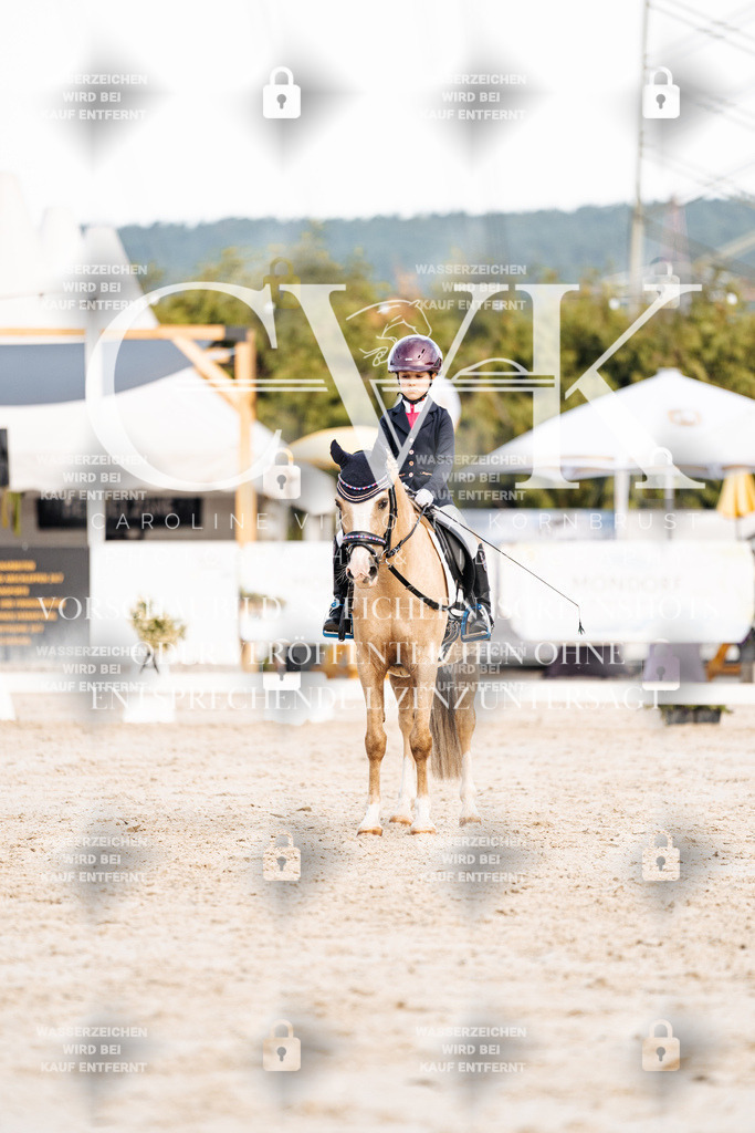 CK904633 | Turnierfotografie Pferdefotografie Trier Rheinland-Pfalz Pferdesport Reitsport Tierfotografie Sportfotografie Pferdevideo Pferdevideografie Equestrianvideography equestrianphotography  - Realisiert mit Pictrs.com
