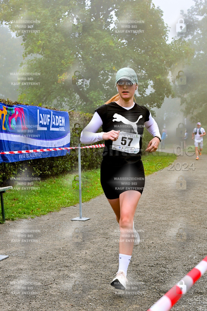 Z8N_2192 | la-psv - Realisiert mit Pictrs.com