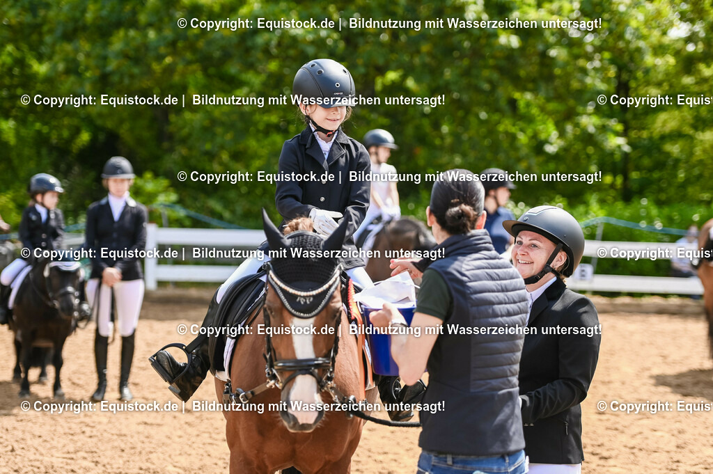 20230716_11_Führzügel-WB_0249 | equistock