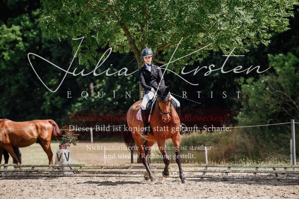 DSC_1008 | Pferde- und Turnierfotografie in Westsachsen. Pferdeportraits, Auftragszeichnungen und intuitive Kunst.