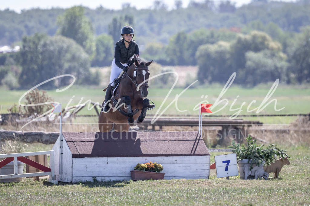 20260906-_3LI3572 | Tierfotografie Pferde, Hunde, Katzen, Haustiere.
Turnierfotografie Reitturniere, Reiten, Springreiten, Dressur in Hanau, dem Main-Kinzig-Kreis und dem Rhein-Main- Gebiet um Frankfurt