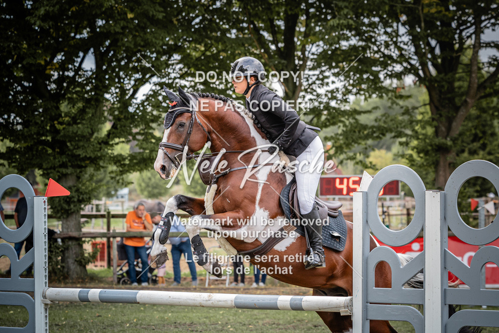 nelerasche_KlDerbyEde_95 | nelerasche