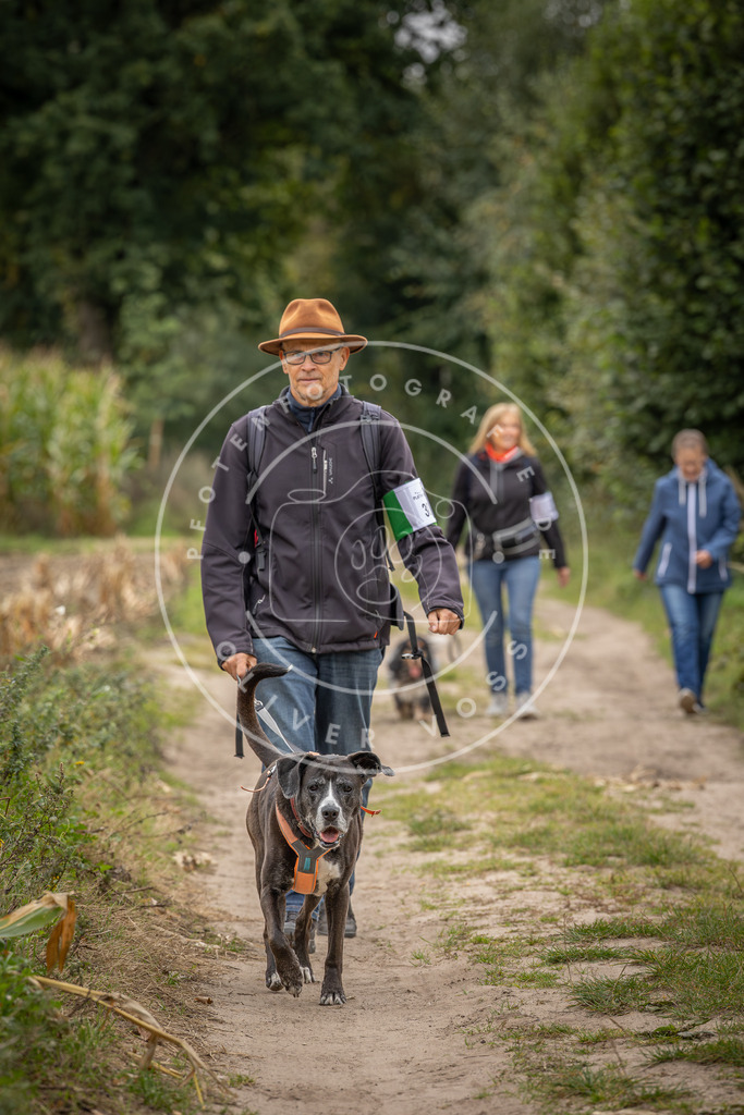 Pfotenfotografie_DV3A6291 | Hundefotografie, Tierfotograf, Pfotenfotografie, Fotoshooting Hund, Hunde Portrait, Hundesport, Hundeportraits, Heideshooting, Hunde, Sportfotograf, Hundefotograf, Turnierhundsport, THS,  - Realisiert mit Pictrs.com
