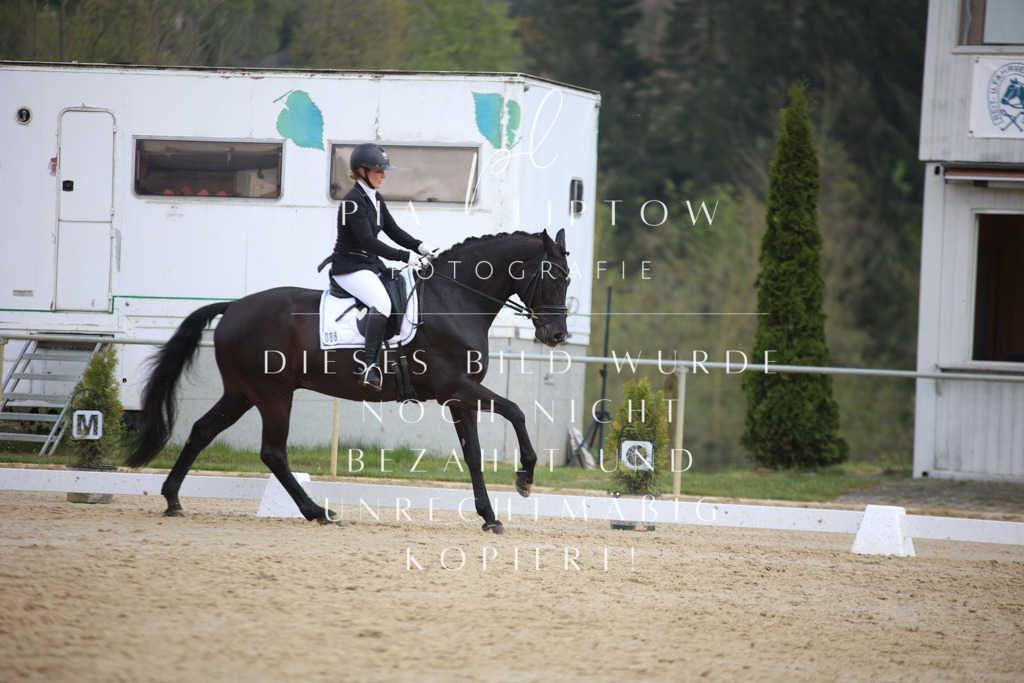 IMGT6189 | pl-fotografie