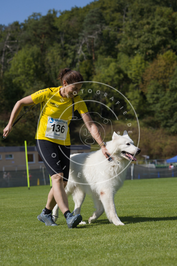 0L8A2991 | Hundefotografie, Tierfotograf, Pfotenfotografie, Fotoshooting Hund, Hunde Portrait, Hundesport, Hundeportraits, Heideshooting, Hunde, Sportfotograf, Hundefotograf, Turnierhundsport, THS,  - Realisiert mit Pictrs.com