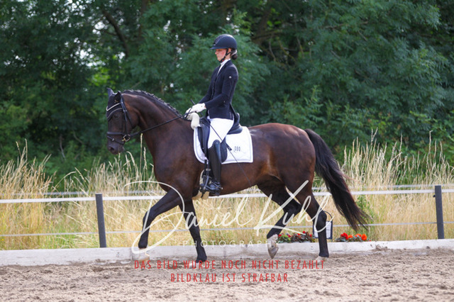 DKP45675 | Turniersportfotografie; Pferdefotografie; Dressurfotografie