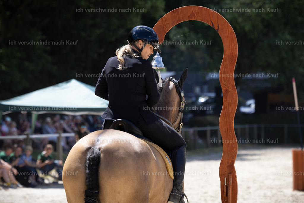 WM_Speed_36_KerstinBernhardt-7 | working equitationturnier fotograf videograf stoibphotography marixx film working equitation deutschland reitsport turnierfotografie eventfotografie equestrian events
