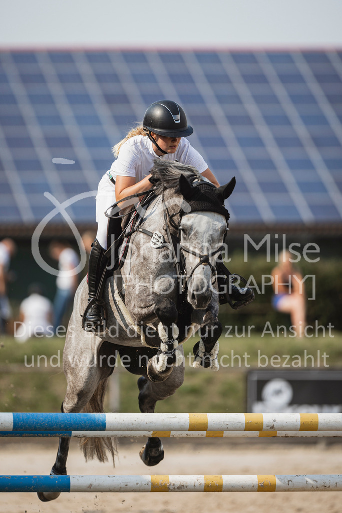240627_LüPfSpTa_SprPf-M-238 | Deine schönsten Turniermomente als professionelle Fotos! Entdecke hochwertige Pferdesport-Fotografie im Online-Shop. Jetzt Fotos finden & bestellen!