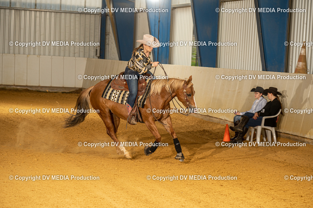 MIT00528 | dv-media-shop - Realisiert mit Pictrs.com