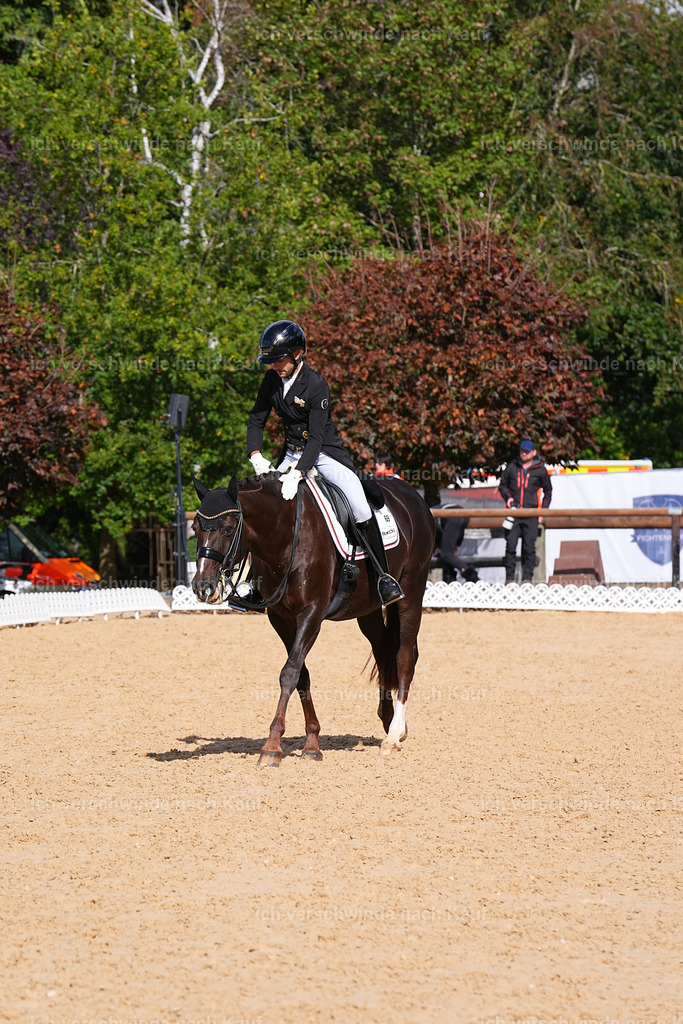09_2-069-DRESSUR  S_  -Marixx-5963 | working equitationturnier fotograf videograf stoibphotography marixx film working equitation deutschland reitsport turnierfotografie eventfotografie equestrian events
