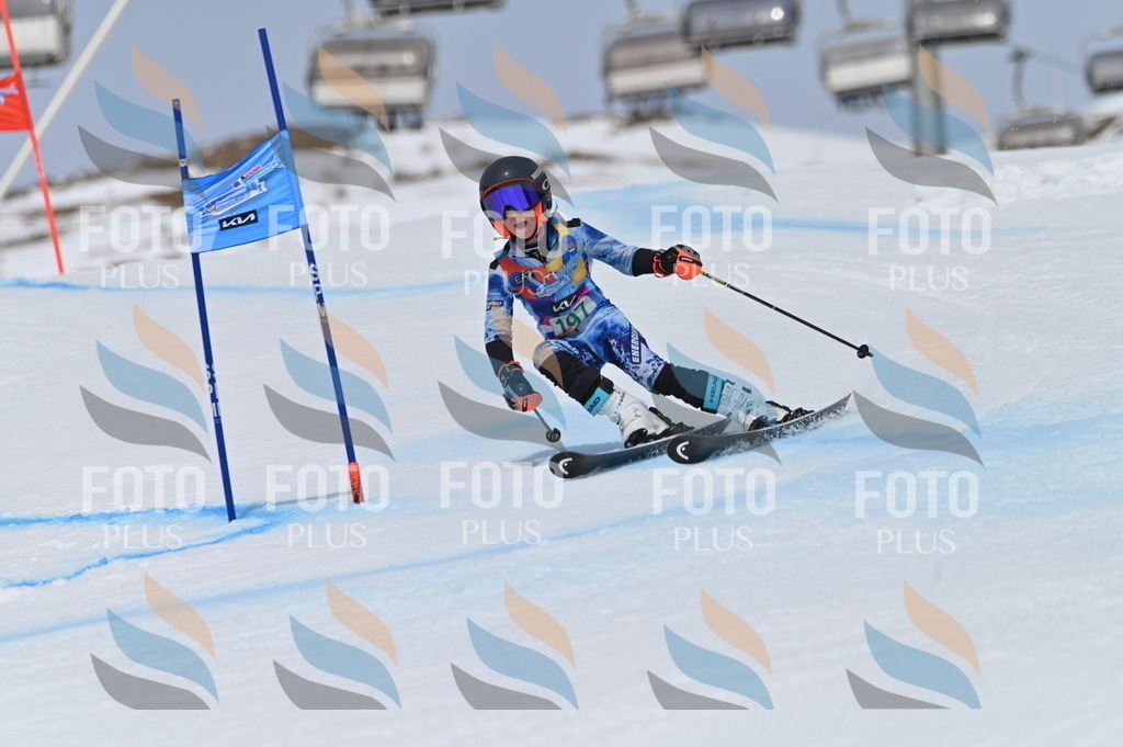 BGV_3785 | holidayphoto