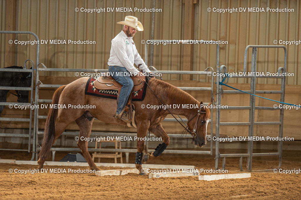 NID01795 | dv-media-shop - Realisiert mit Pictrs.com