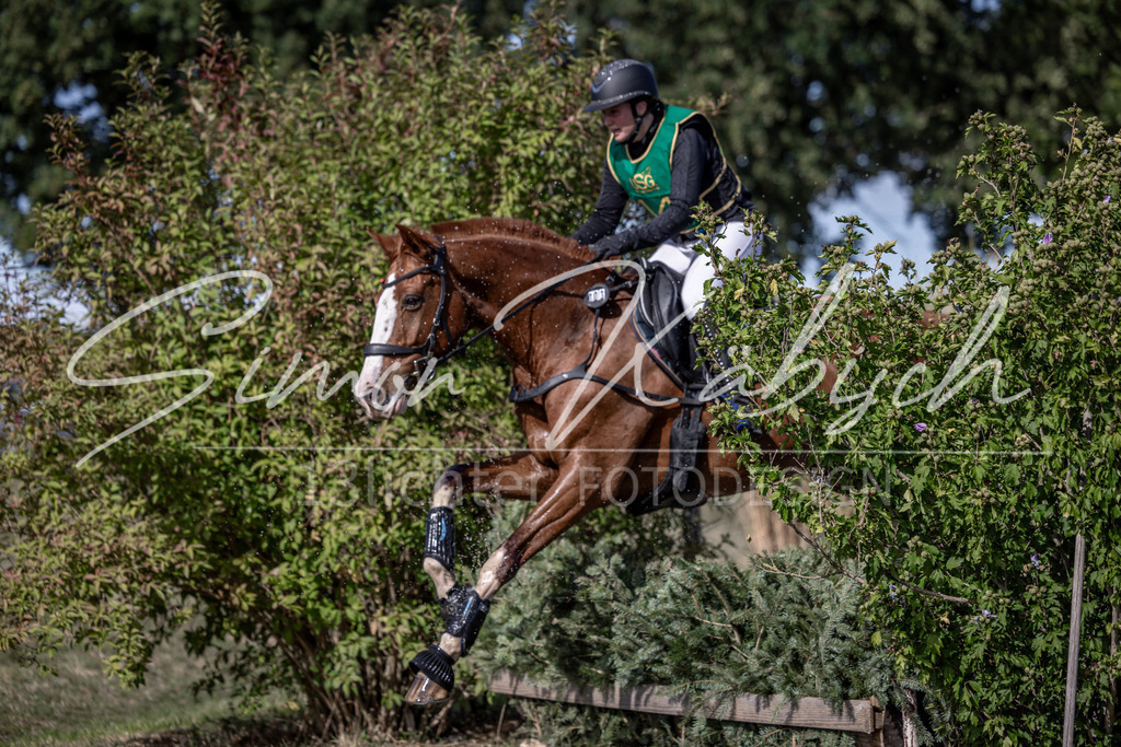 20260906-_3LI6164 | Tierfotografie Pferde, Hunde, Katzen, Haustiere.
Turnierfotografie Reitturniere, Reiten, Springreiten, Dressur in Hanau, dem Main-Kinzig-Kreis und dem Rhein-Main- Gebiet um Frankfurt