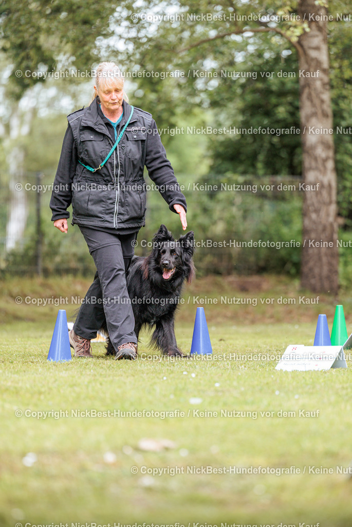 RO-Blumenthal-2026-Nickbest-Hundefotografie-3253 | Dein Hund! Dein Moment! Deine Erinnerungen! Hundefotografie in Bremen Blumenthal. Ich fange die besonderen Momente deines Vierbeiners ein – ob Indoor mit Blitzanlage oder in der freien Natur. Sicher dir dein Moment und dein Termin für eure Erinnerungen.