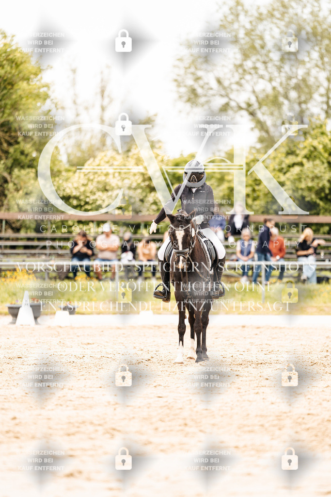 CK903631 | Turnierfotografie Pferdefotografie Trier Rheinland-Pfalz Pferdesport Reitsport Tierfotografie Sportfotografie Pferdevideo Pferdevideografie Equestrianvideography equestrianphotography  - Realisiert mit Pictrs.com