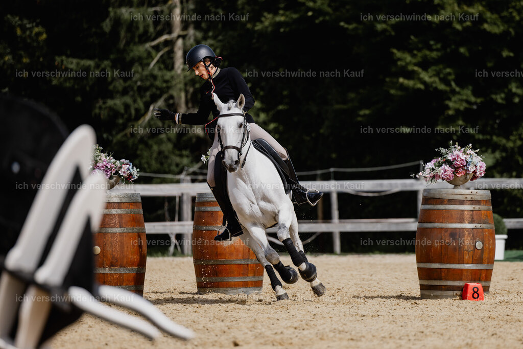 Virginie12FHC2025-20063 | working equitationturnier fotograf videograf stoibphotography marixx film working equitation deutschland reitsport turnierfotografie eventfotografie equestrian events