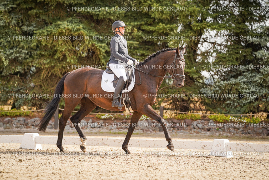 DSC01201 | Pferdegrafie