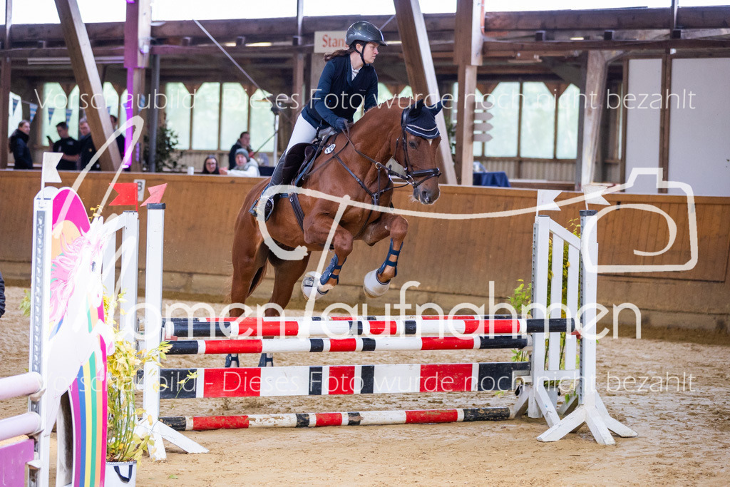 Sth-A-Springen-029 | MomenTaufnahmen Pferdesportfotos