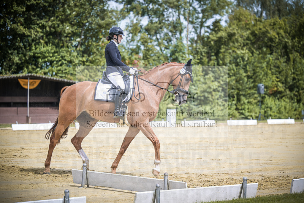 DOS_9794 | Entdecke hochwertige Reitturnierfotos von Foto Oger. Professionell, emotional und authentisch – jetzt Lieblingsmomente im Shop bestellen.Deutschlandweite Turnierfotografie. - Realisiert mit Pictrs.com
