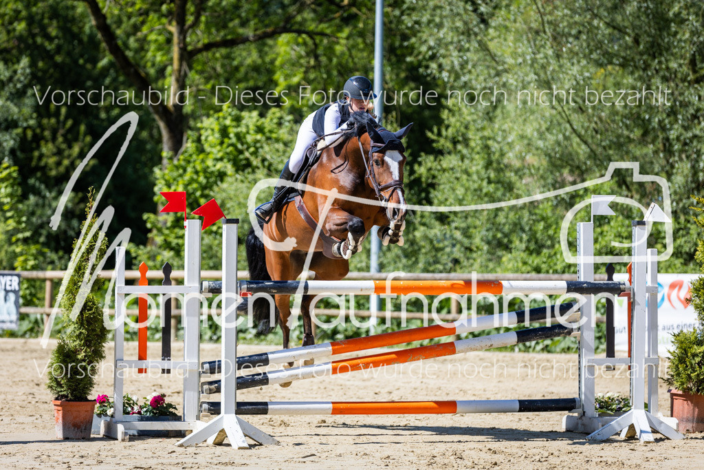 Donop24-M-Spr-060 | MomenTaufnahmen Pferdesportfotos