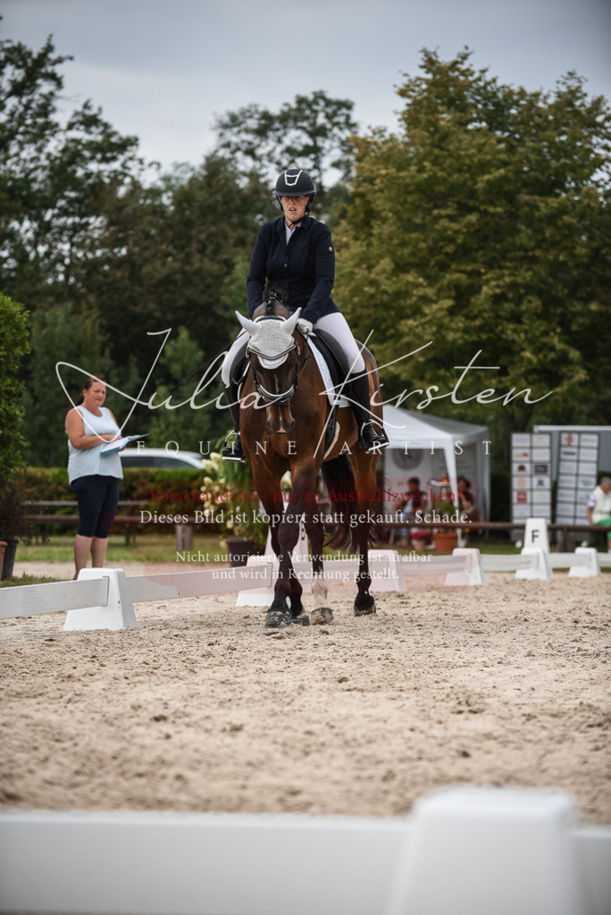DSC_8459 | Pferde- und Turnierfotografie in Westsachsen. Pferdeportraits, Auftragszeichnungen und intuitive Kunst.