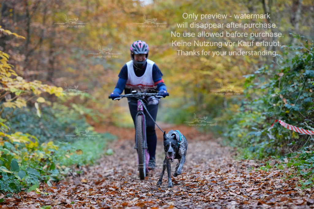 Scooter_So-83 | stephaniefillaphotographie - Realisiert mit Pictrs.com